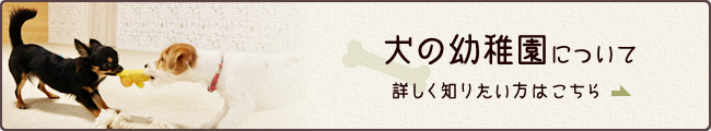 犬の幼稚園について詳しく知りたい方はこちら
