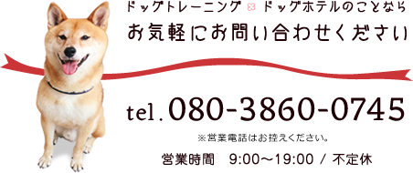 ドッグトレーニングドッグホテルのことならお気軽にお問い合わせください tel 080-3860-0745 ※営業電話はお控えください。営業時間 9:00～19:00 / 不定休 